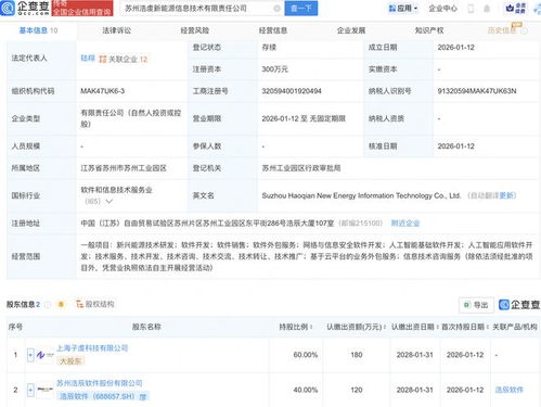 浩辰軟件聯(lián)合成立新能源信息技術公司，AI與網(wǎng)絡安全雙輪驅(qū)動未來能源革新