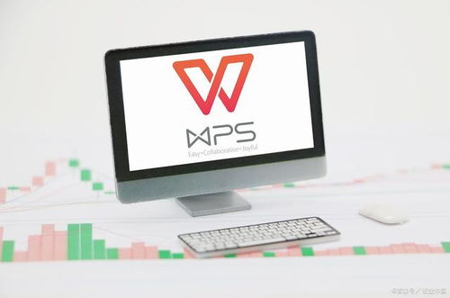 二級(jí)WPS Office考試內(nèi)容詳解 網(wǎng)絡(luò)與信息安全軟件開發(fā)方向